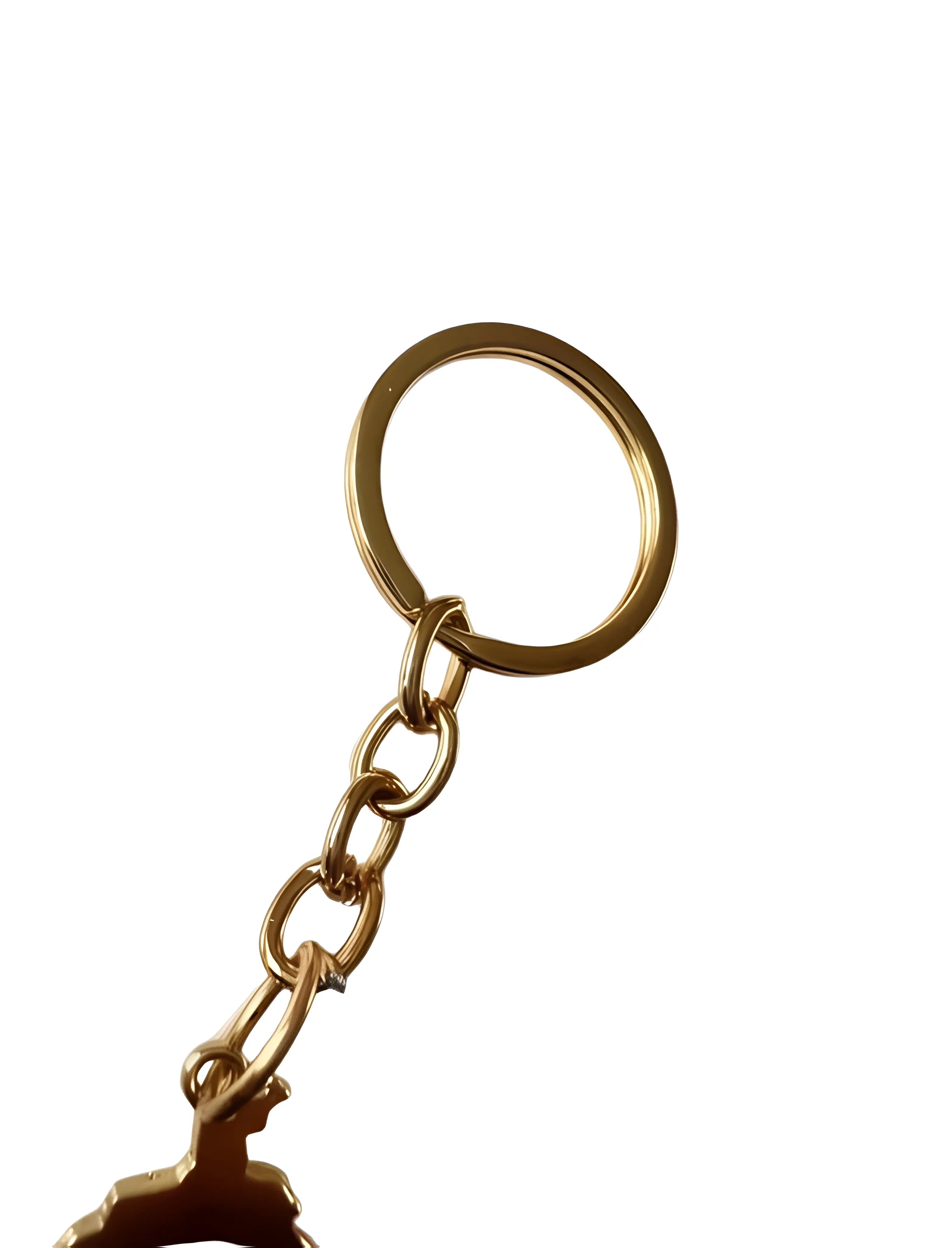 Punjab Keychain - Gold - Akaal Accessories - Now Available for Next Day Delivery