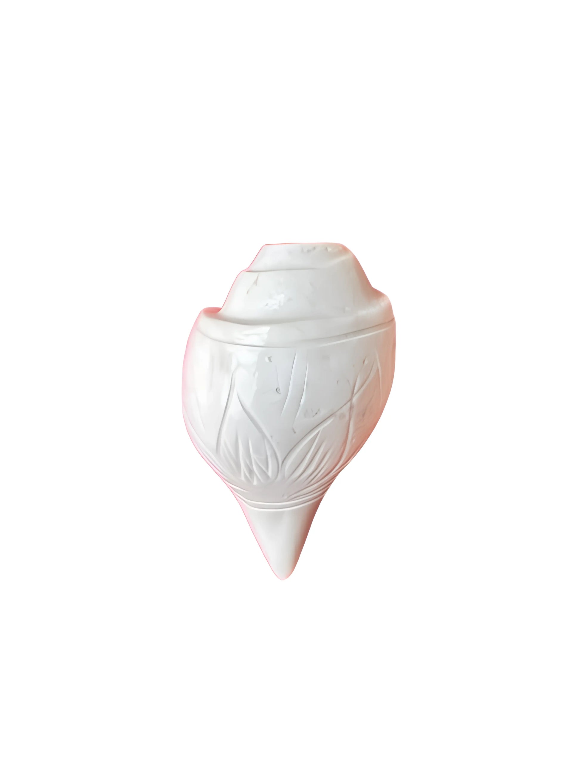 Shankh - Conch - 4 inch - Akaal Accessories - Now Available for Next Day Delivery