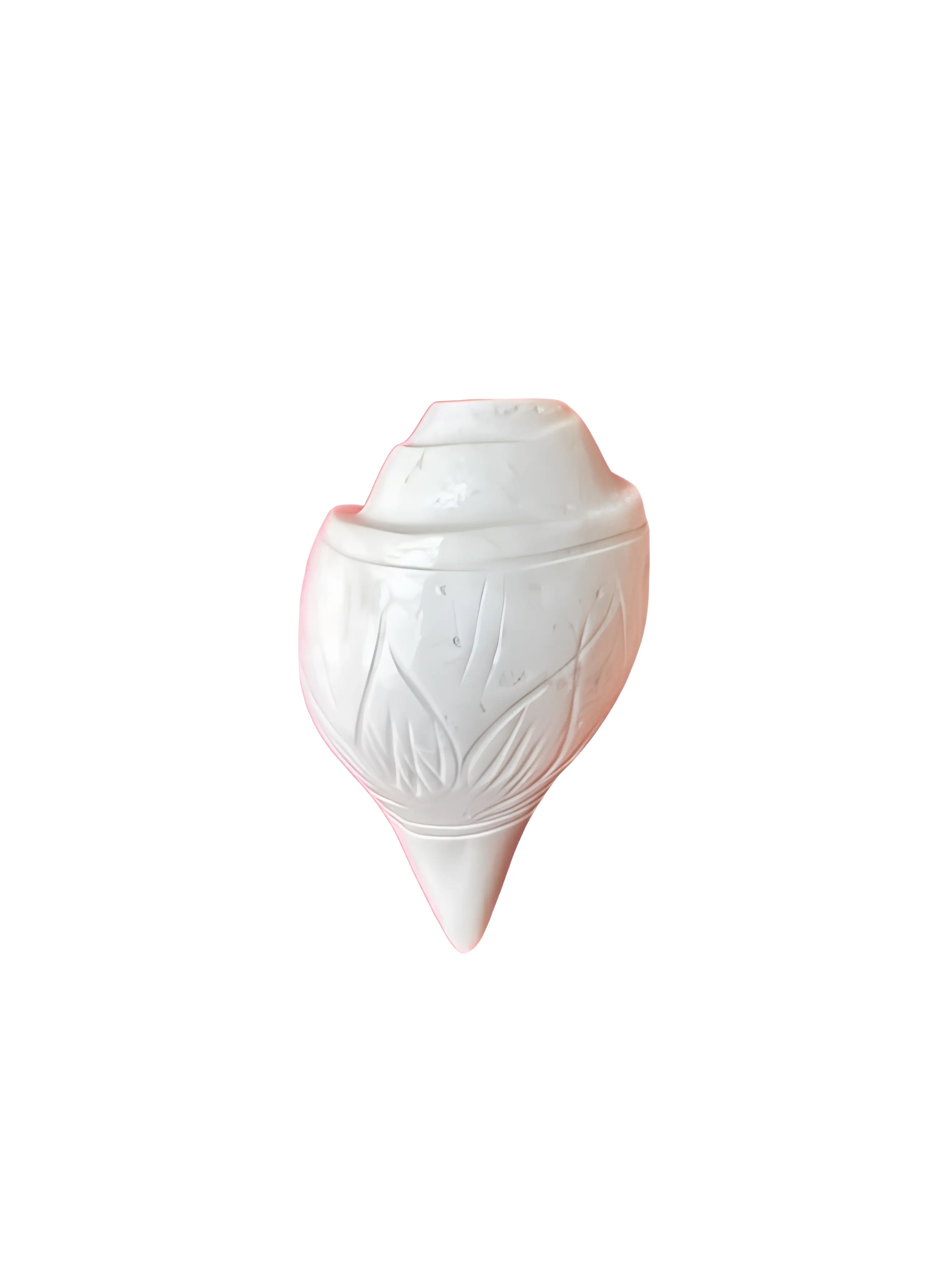 Shankh - Conch - 4 inch - Akaal Accessories - Now Available for Next Day Delivery
