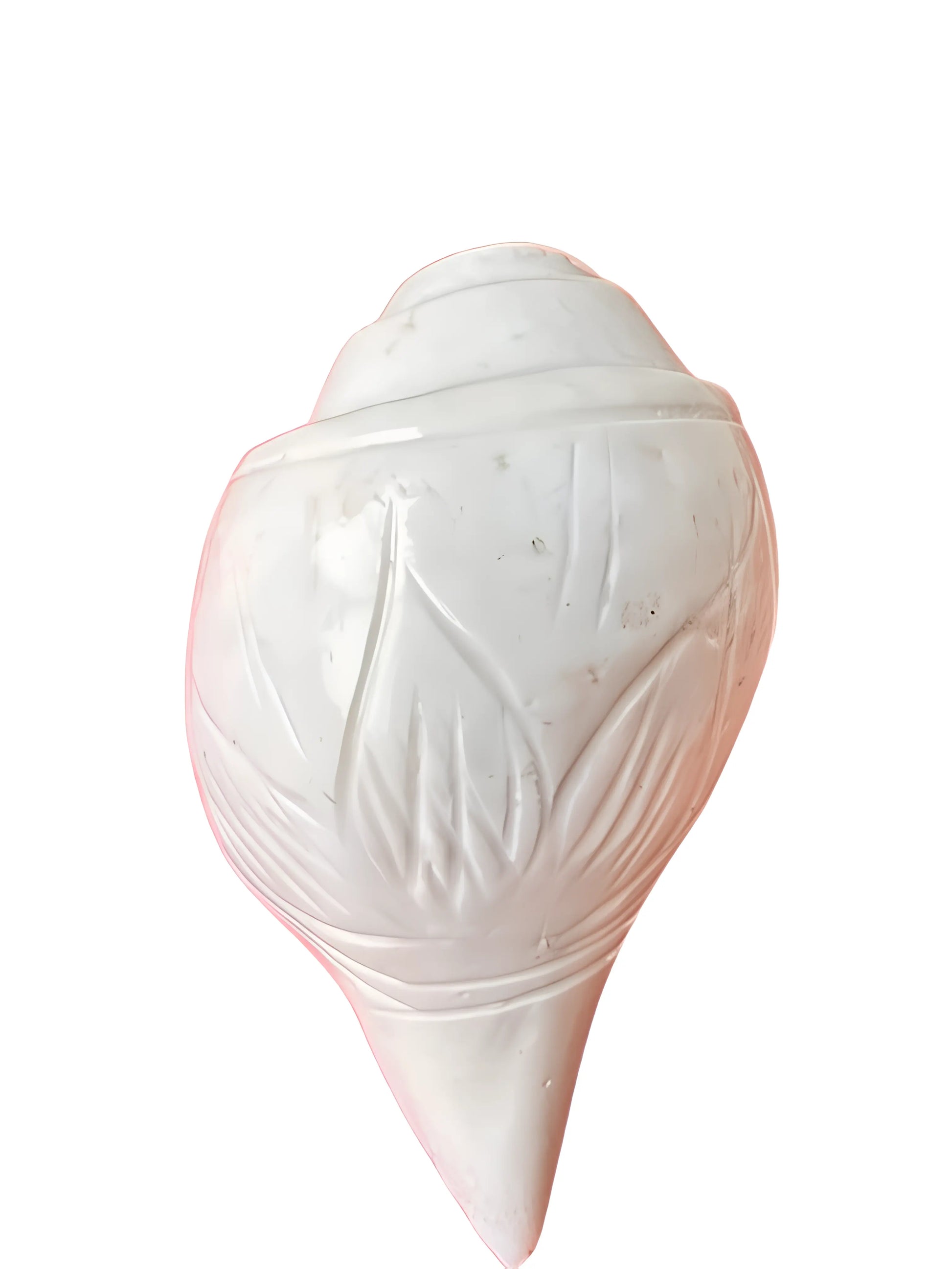 Shankh - Conch - 4 inch - Akaal Accessories - Now Available for Next Day Delivery