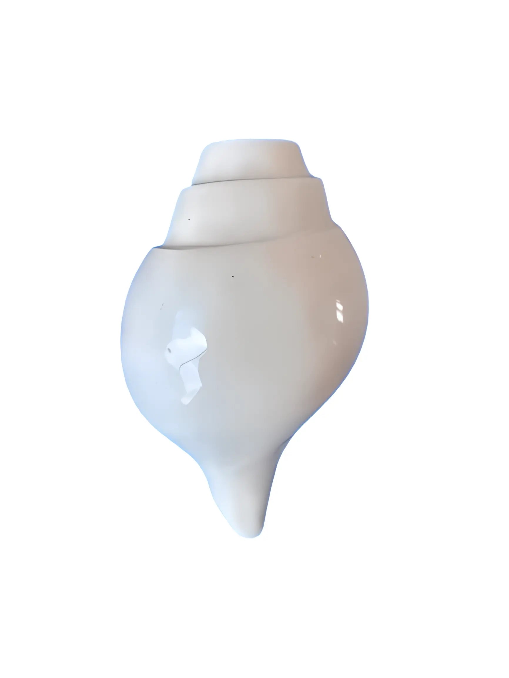 Shankh (Conch) - Akaal Accessories - Now Available for Next Day Delivery