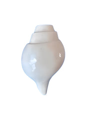 Shankh (Conch) - Akaal Accessories - Now Available for Next Day Delivery
